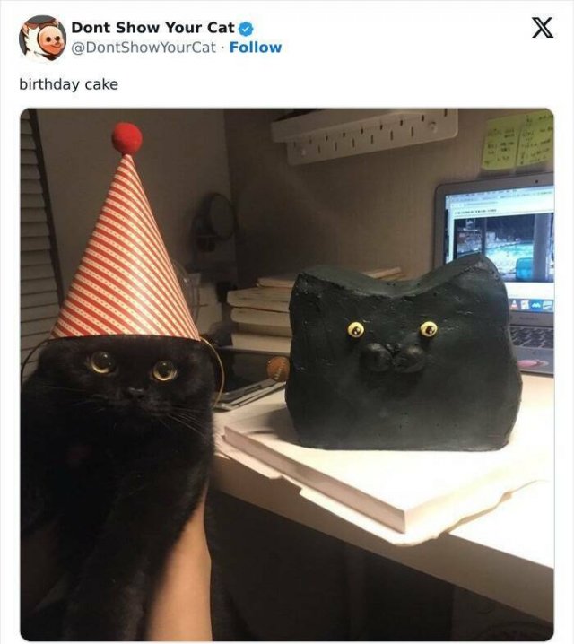 Memes With Animals (20 pics)