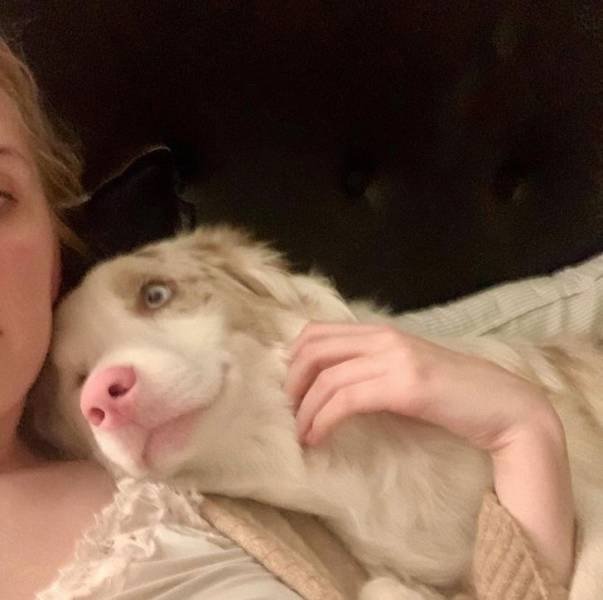 People Share Their Pets (18 pics) People Share Their Pets (18 pics)