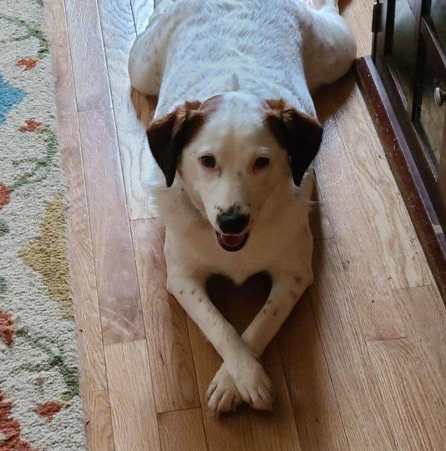 People Share Their Pets (18 pics) People Share Their Pets (18 pics)
