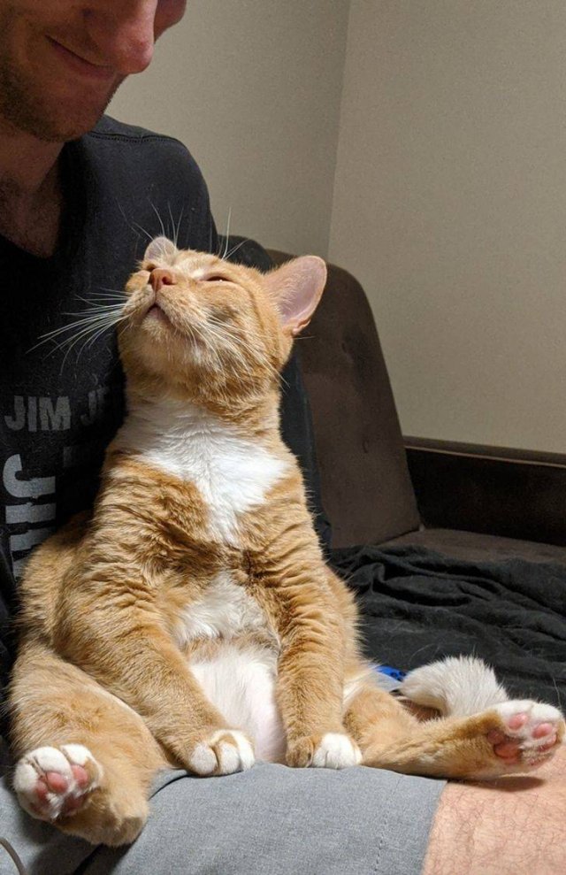 People Share Their Pets (18 pics) People Share Their Pets (18 pics)