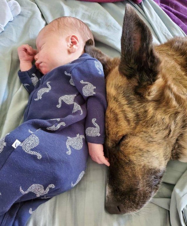 People Share Their Pets (18 pics) People Share Their Pets (18 pics)