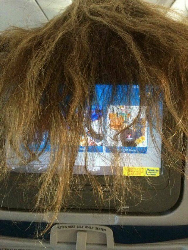 Annoying Passengers (20 pics)