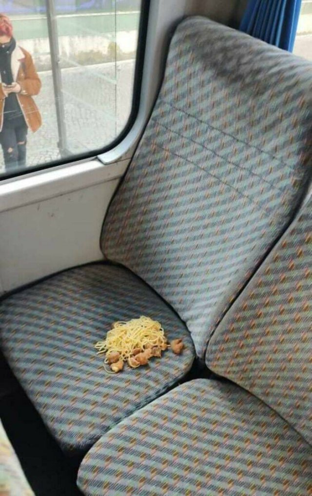 Annoying Passengers (20 pics)