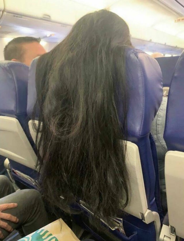 Annoying Passengers (20 pics)
