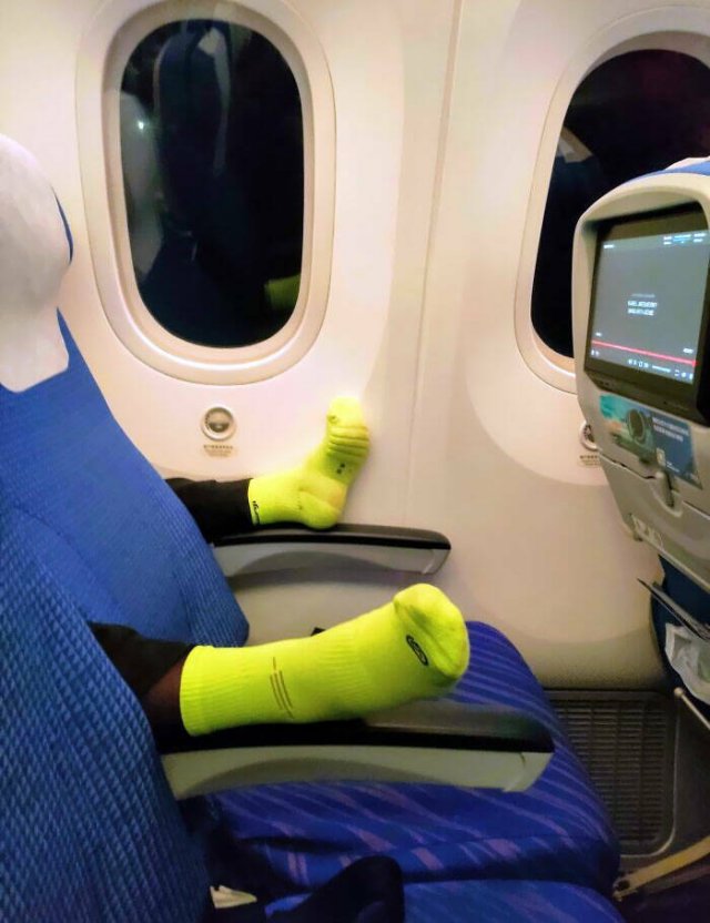 Annoying Passengers (20 pics)