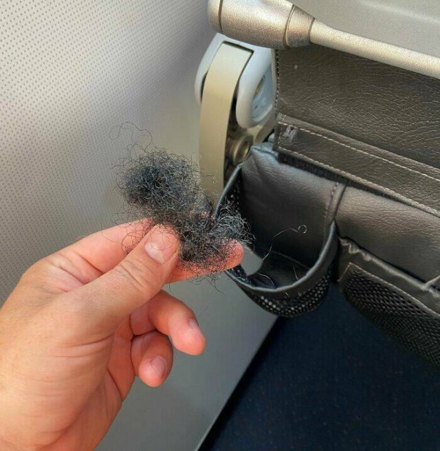 Annoying Passengers (20 pics)