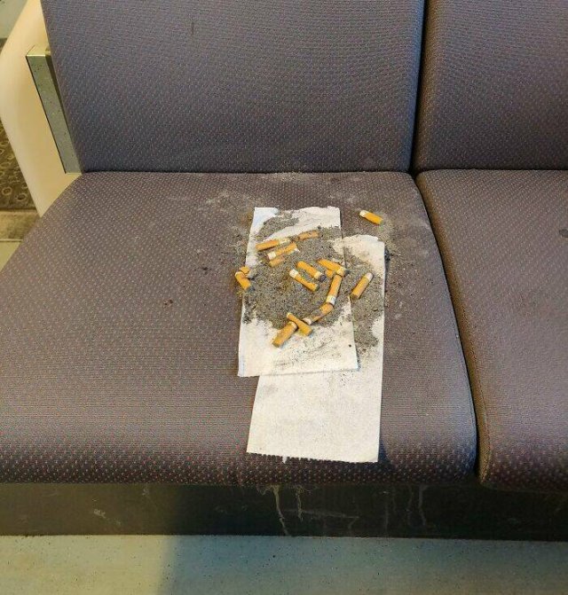 Annoying Passengers (20 pics)