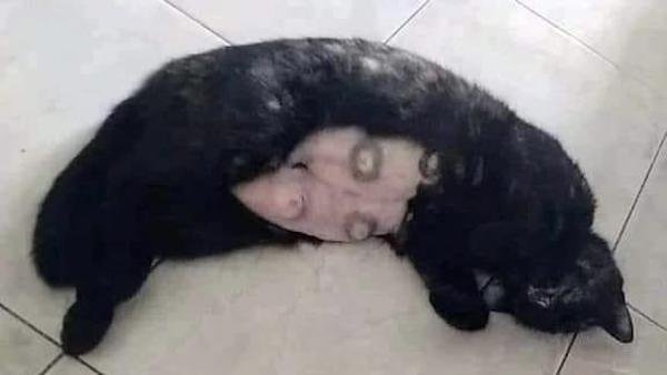 Creepy Finds (44 pics)