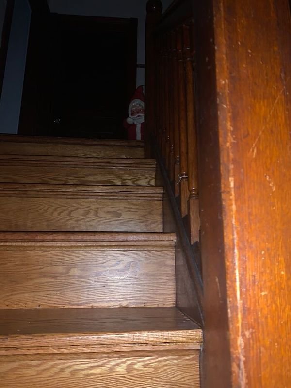 Creepy Finds (44 pics)