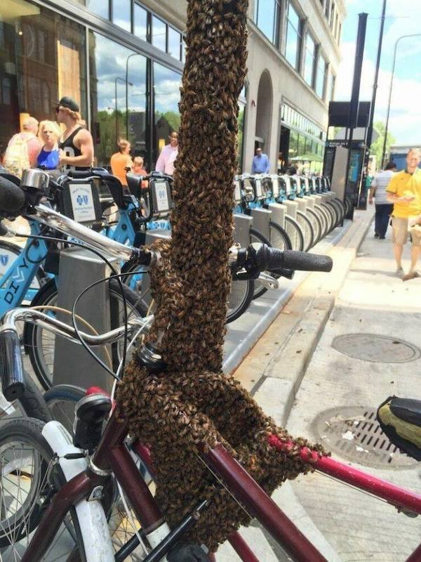 Creepy Finds (44 pics)