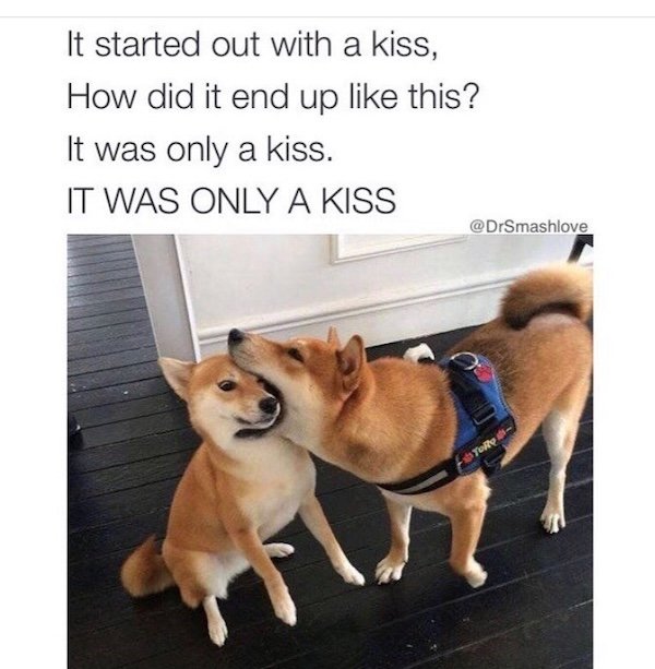 Memes With Dogs (28 pics)