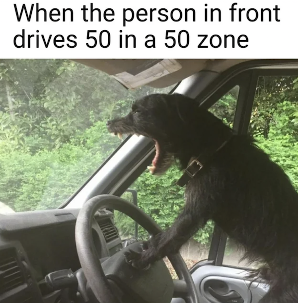 Truthful Memes (37 pics)