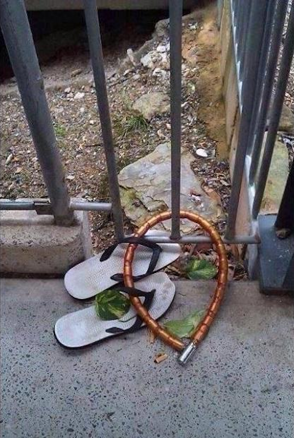 What Is Going On Here? (41 pics)