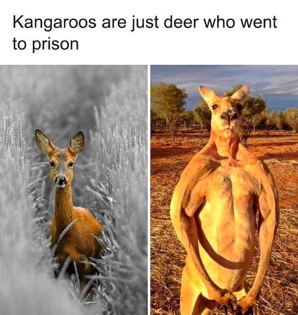 Truthful Memes (37 pics)