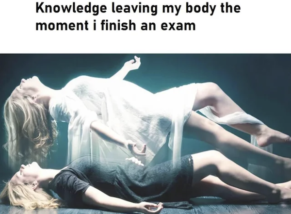 Truthful Memes (37 pics)