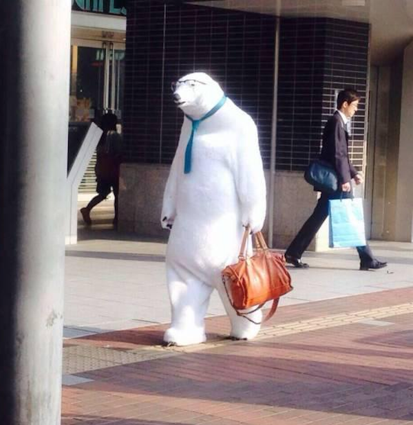 What Is Going On Here? (41 pics)