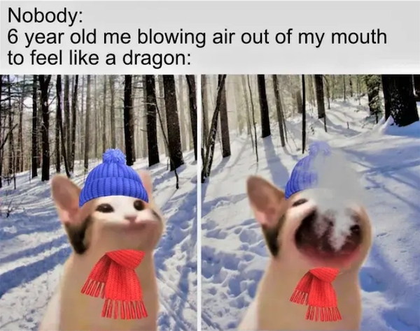 Truthful Memes (37 pics)