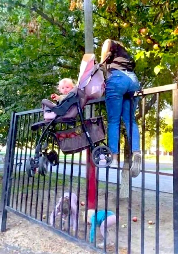 What Is Going On Here? (41 pics)