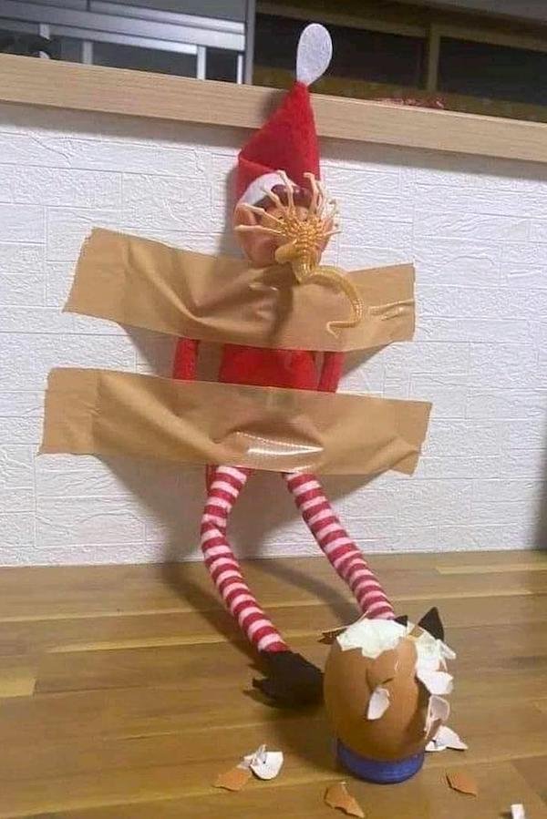What Is Going On Here? (41 pics)