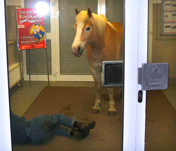 What Is Going On Here? (41 pics)