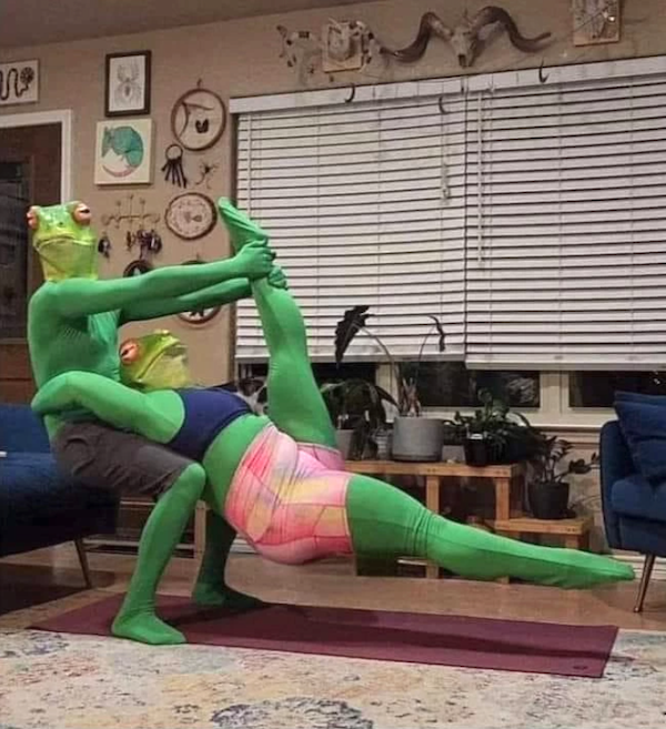 What Is Going On Here? (41 pics)