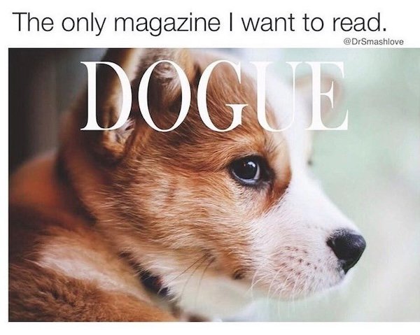 Memes With Dogs (28 pics)