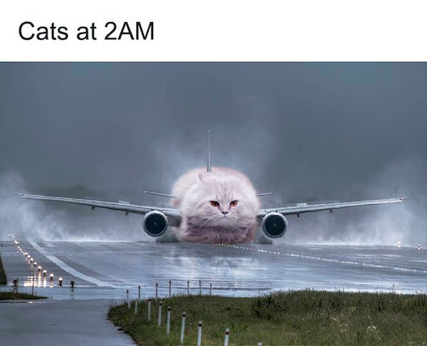 Truthful Memes (37 pics)
