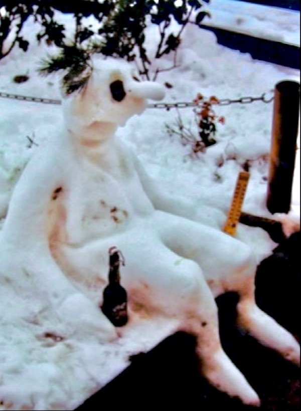 What Is Going On Here? (41 pics)