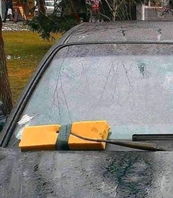 What Is Going On Here? (41 pics)