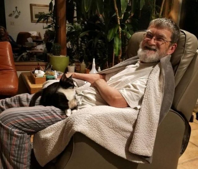 They Didn't Want Pets (21 pics)