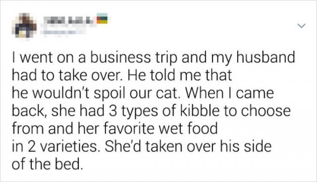 They Didn't Want Pets (21 pics)