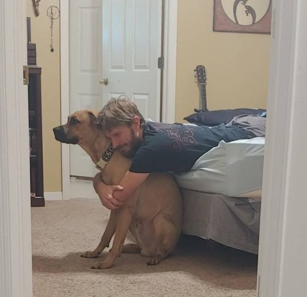 They Didn't Want Pets (21 pics)