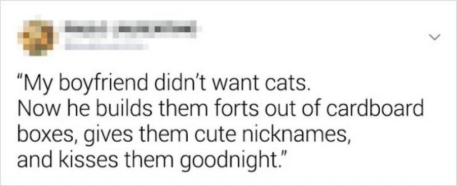 They Didn't Want Pets (21 pics)