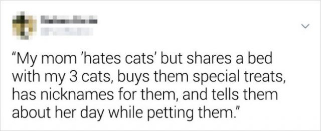 They Didn't Want Pets (21 pics)