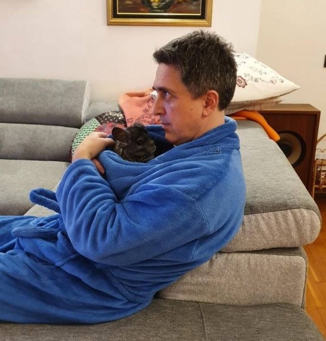 They Didn't Want Pets (21 pics)