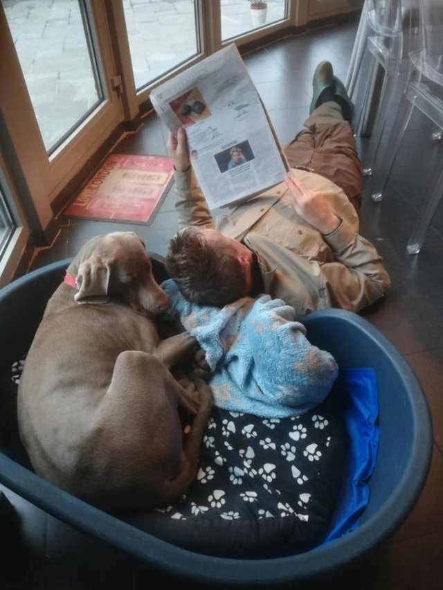 They Didn't Want Pets (21 pics)