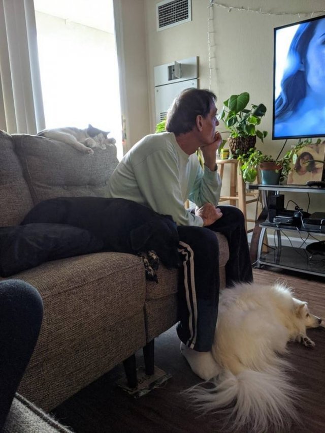 They Didn't Want Pets (21 pics)