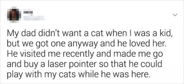 They Didn't Want Pets (21 pics)