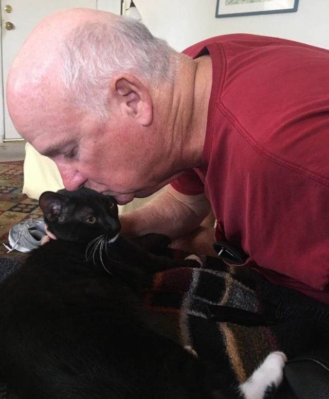 They Didn't Want Pets (21 pics)