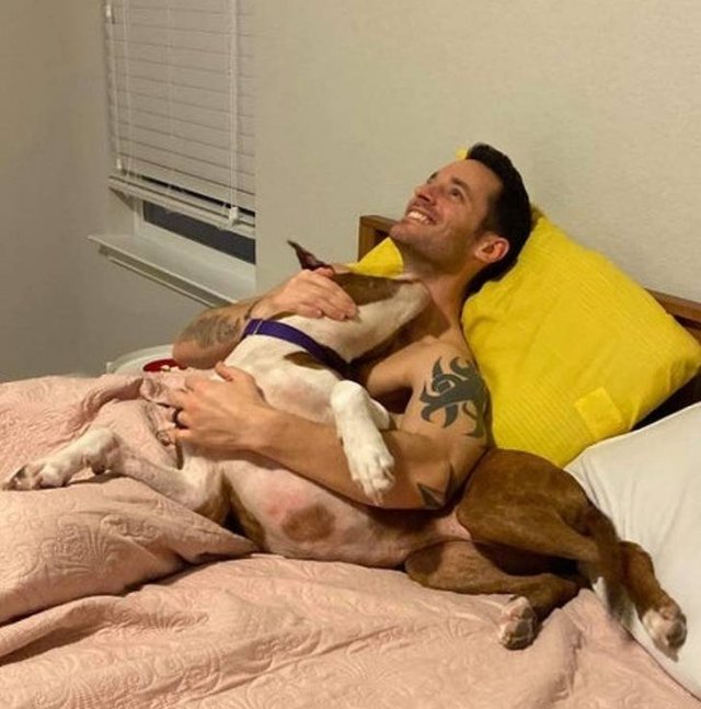 They Didn't Want Pets (21 pics)