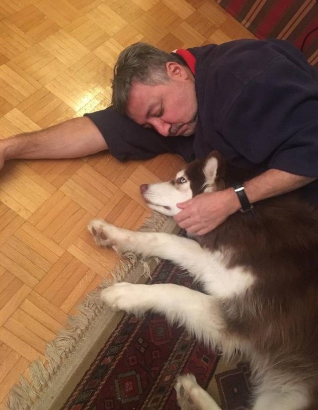 They Didn't Want Pets (21 pics)