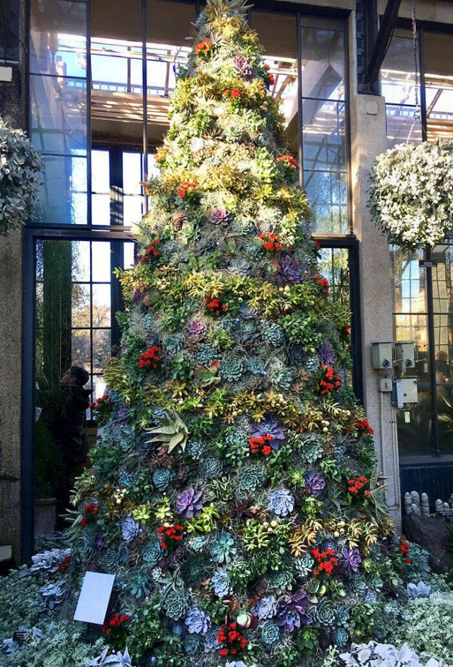 Creative Christmas Trees (22 pics)