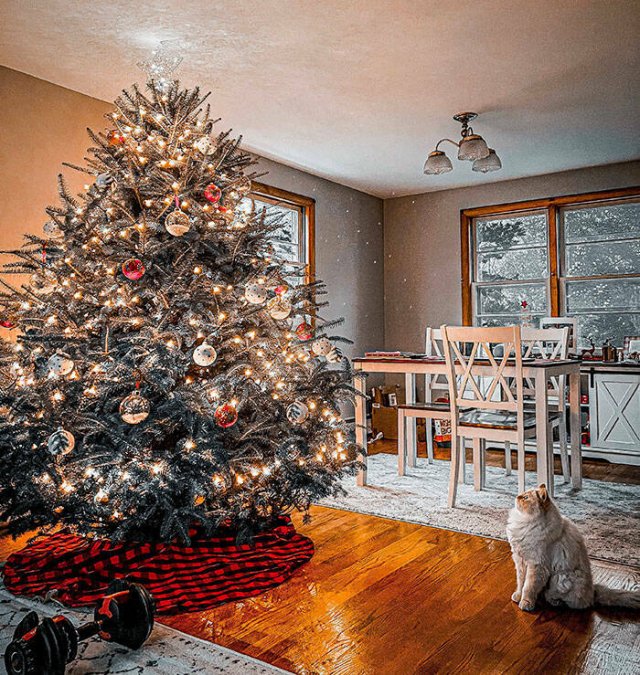 Creative Christmas Trees (22 pics)