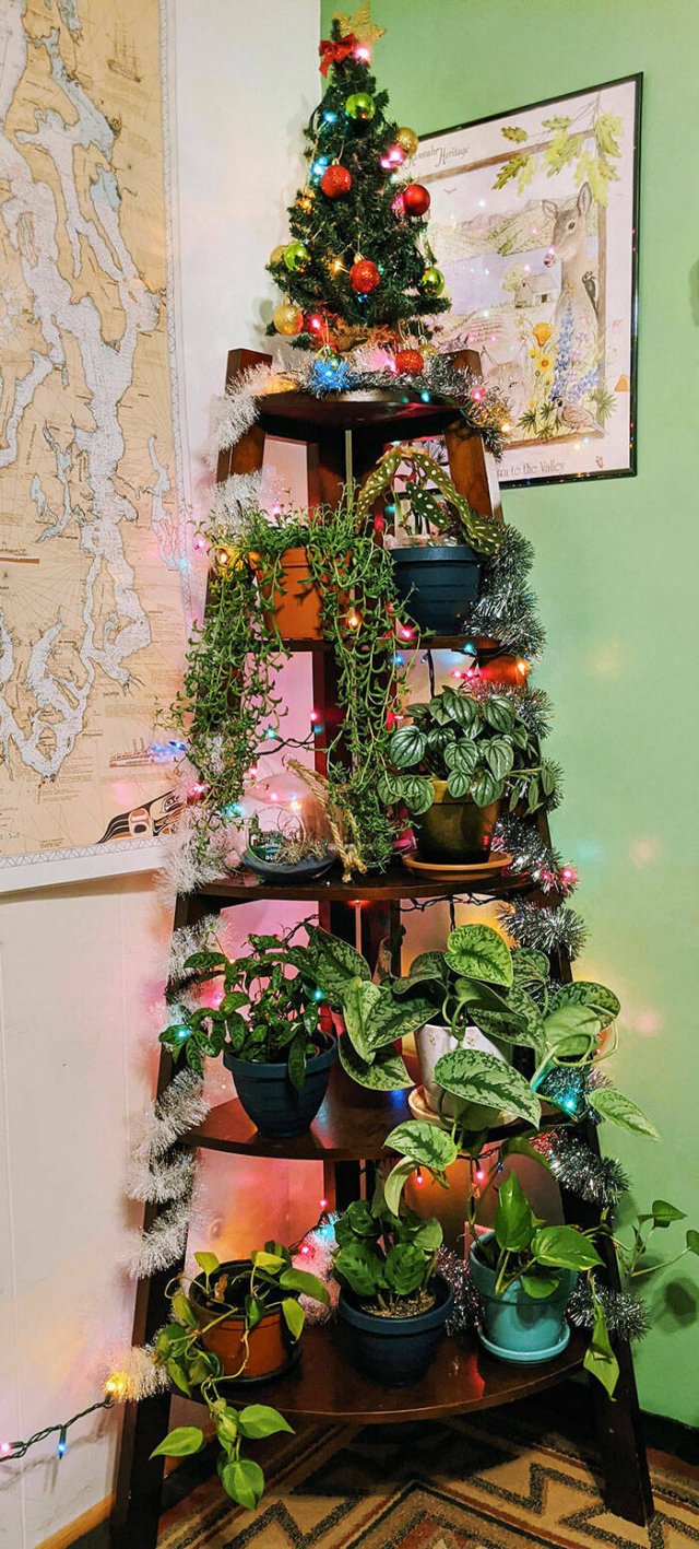 Creative Christmas Trees (22 pics)