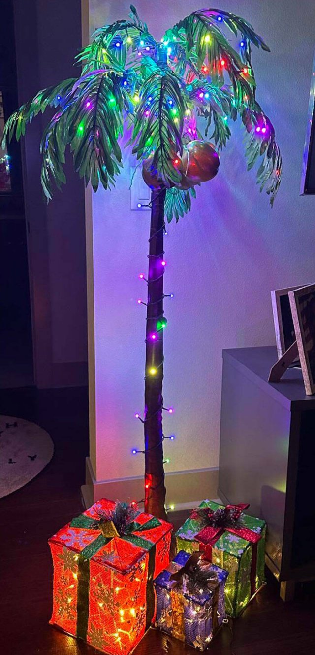 Creative Christmas Trees (22 pics)