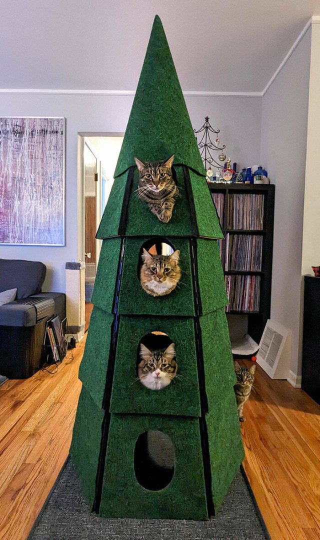 Creative Christmas Trees (22 pics)