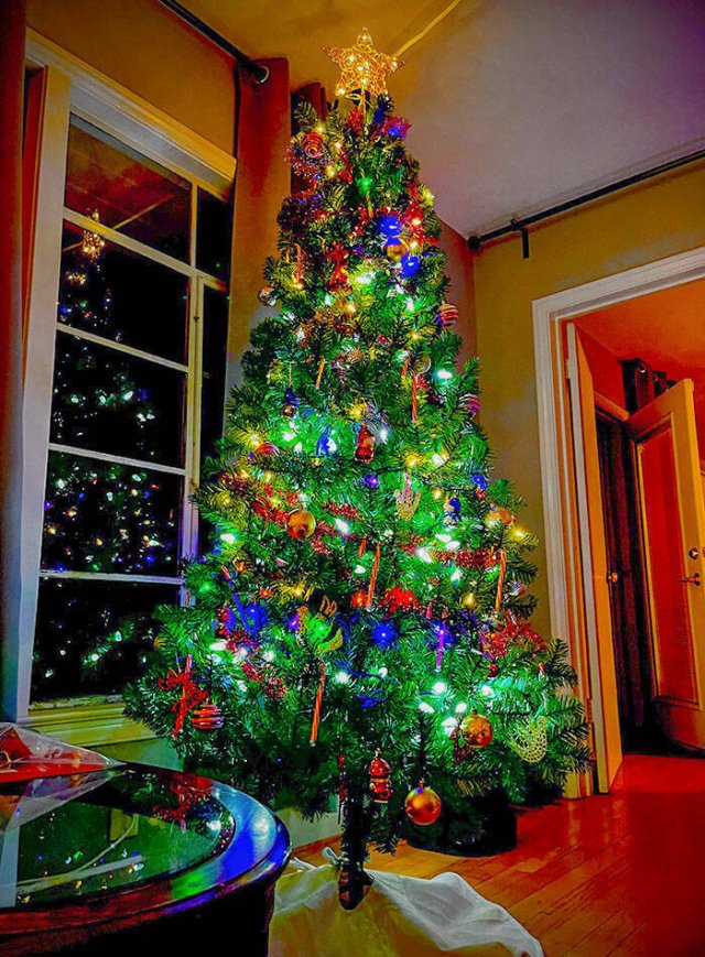 Creative Christmas Trees (22 pics)