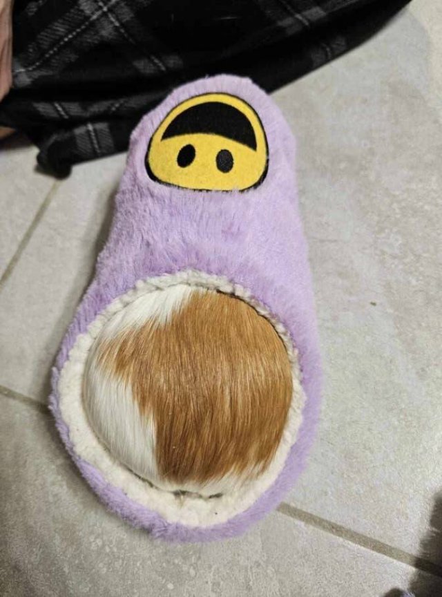 Photos For Perfectionists (16 pics) Photos For Perfectionists (16 pics)