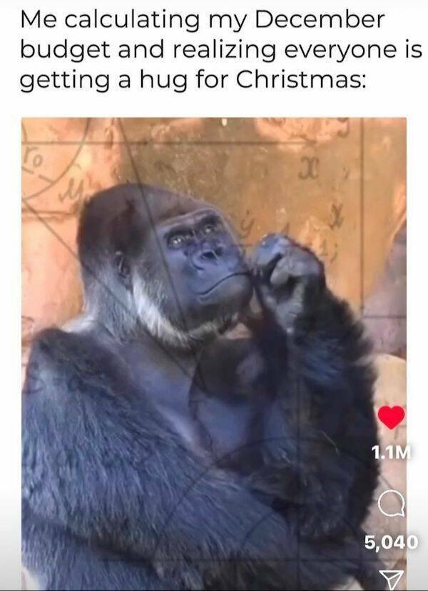 Christmas Memes (24 pics)