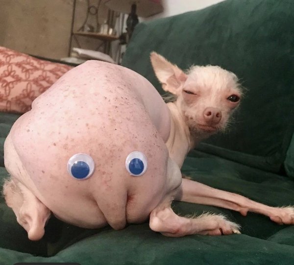 What Is Going On Here? (29 pics)